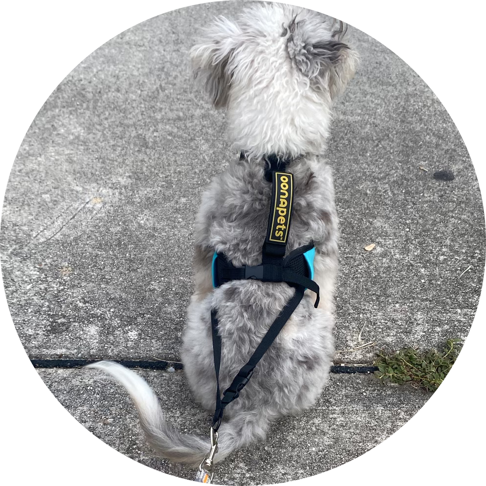 Easy to Use—Just stop and stand still.