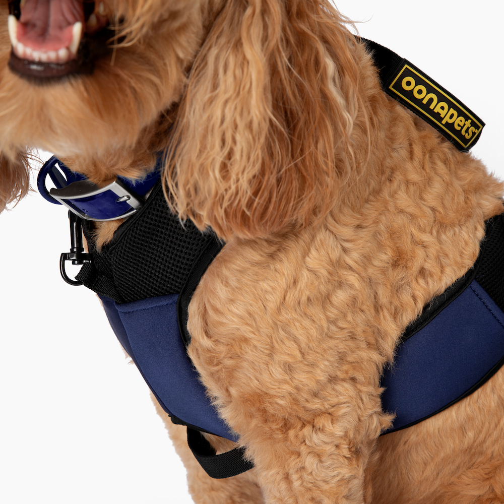 MEDIUM Stroll-in-Control™ No-Pull Harness