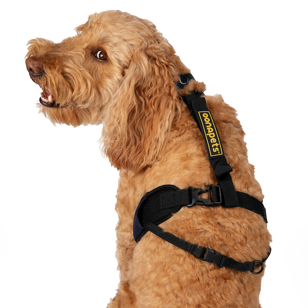 MEDIUM Stroll-in-Control™ No-Pull Harness