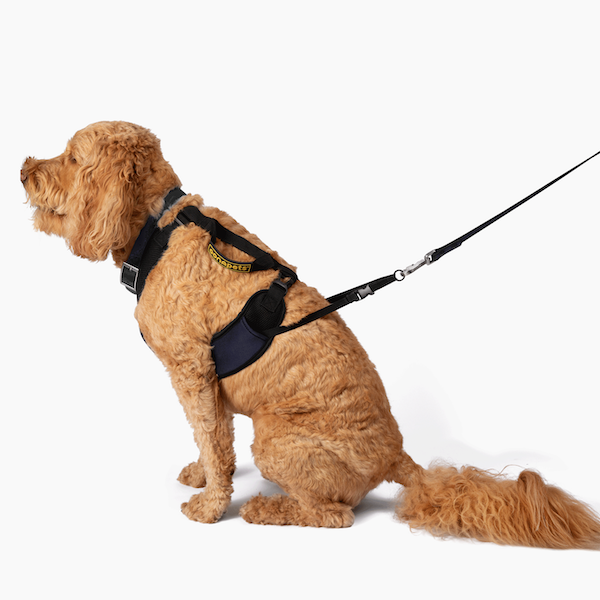 SMALL Stroll-in-Control™ No-Pull Harness