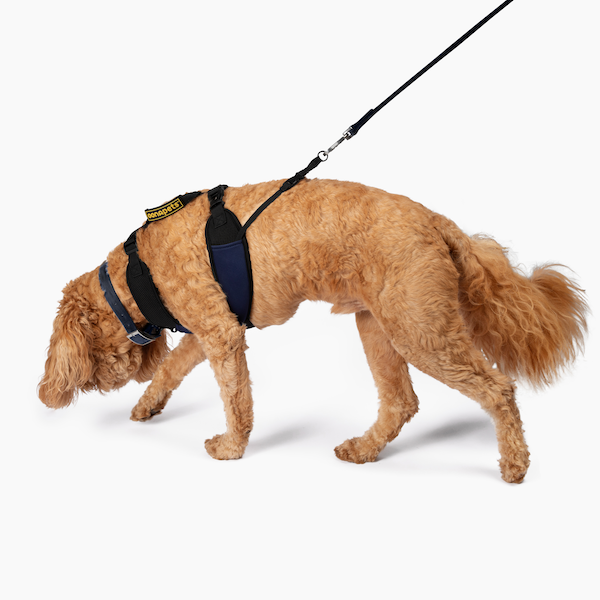 SMALL Stroll-in-Control™ No-Pull Harness